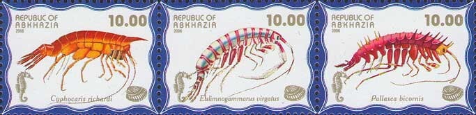 Russians in Abkhazia