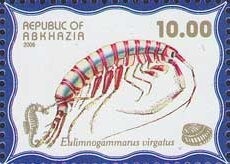 10th Anniversary of the Independence of Abkhazia