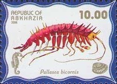 Olympic Games Atlanta 1996