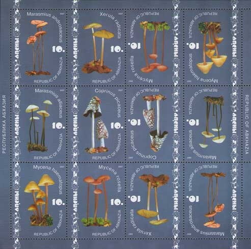 Portrait of scientist A. Khashba (1902-1937)