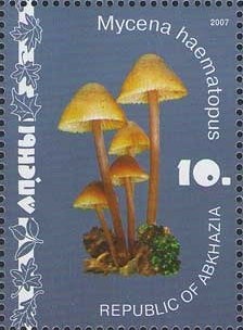 EUROPA 2021 - Deer and Mountain Goat