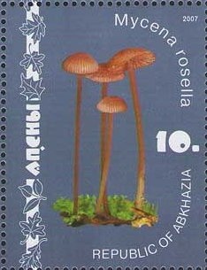 Jose Cruz Herrera, Spanish