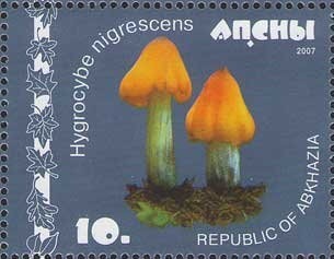 EUROPA 2005 - The Integration as seen by Young People