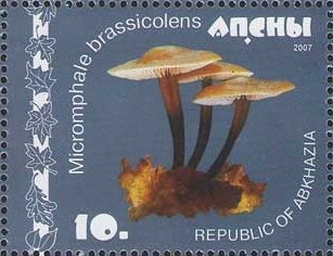 King George VI (1895-1952)