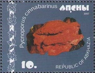 Author of the abkhazian flag and coat of arms V.V. Gamgiya