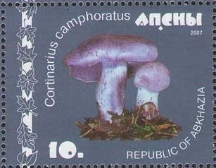 King George V (1865-1936)