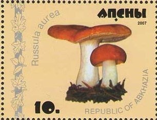 Abkhazia Overprint on Soviet Stamps