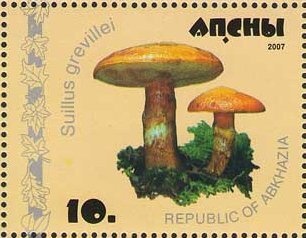 Summer Olympic Games 1996 - Atlanta