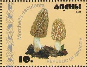 Howard Chandler Christy, American