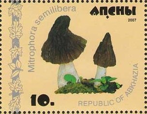 Janos Czencz, Hungarian