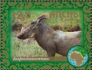 Michele Del Campo, Italia