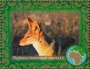 Coat of arms of Abkhazian SSR (1924)