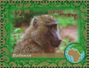 Francesco De Nicola, Italia