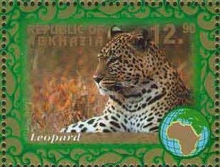 Portrait of Enver Kapba (1936-2004)