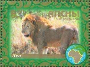 Cichlasoma nigrofasciatum