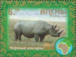 Views- Crusader kneeling in prayer