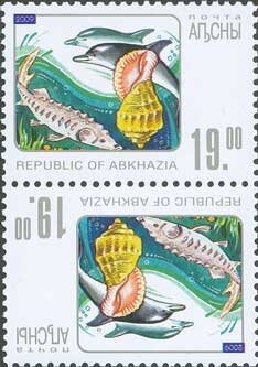 David Dalla Venezia, French