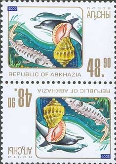 EUROPA 2007 - Scouting