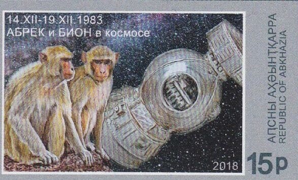 APSNY Post overprint