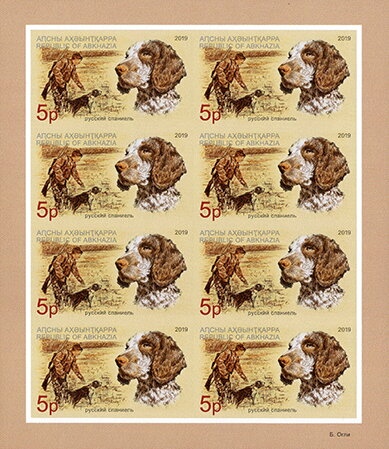 Gagra Region: Pintail (Anas acuta)