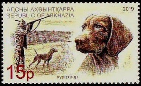 Glanville Fritillary (Melitaea cinxia)