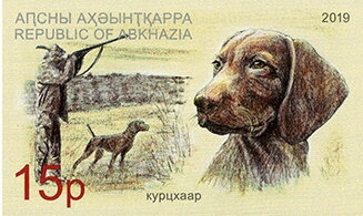 Portrait of scientist A.N. Genko (1896-1941)