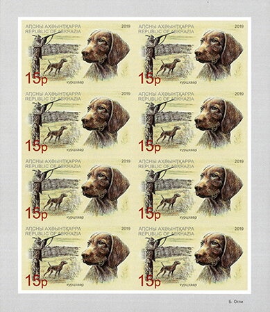 20 years of Italian occupation