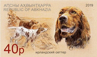 World Chess Championship