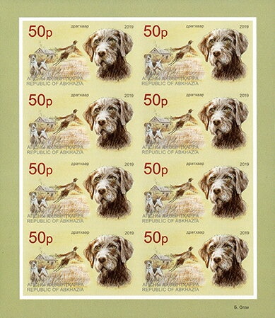 Salvador Dali, Spanish