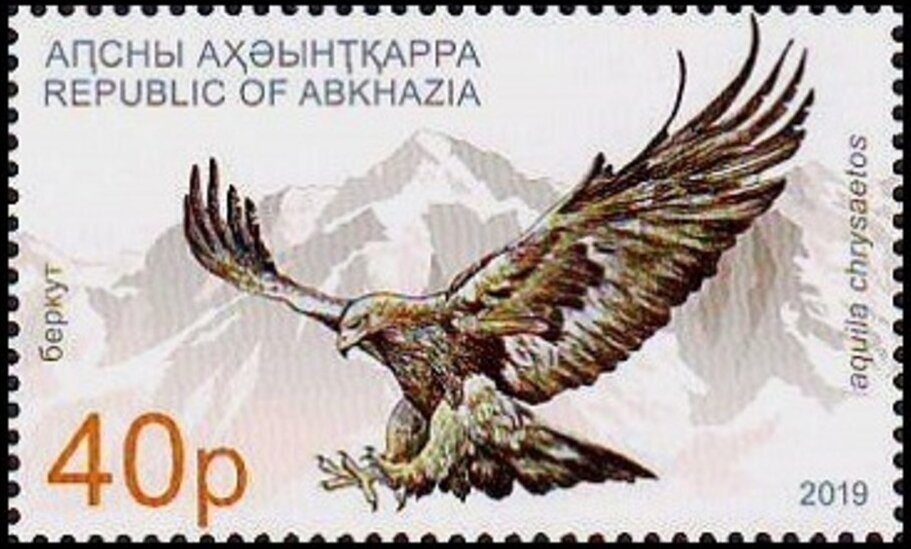 Colorpoint shorthair