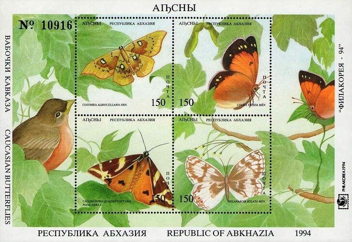 Celine Excoffon, French