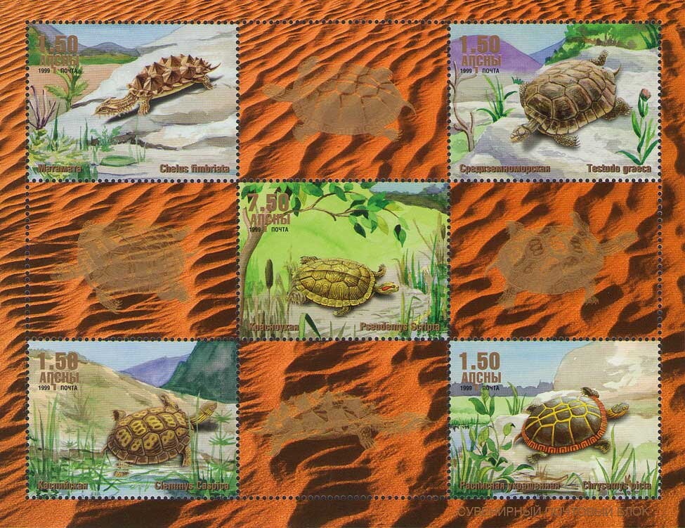 Tiger's Head, year 1294