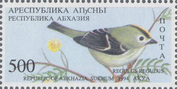 Caspian turtle (Mauremys caspica)