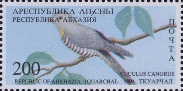 Aden Protectorate Levy, Dromedary (Camelus dromedarius)