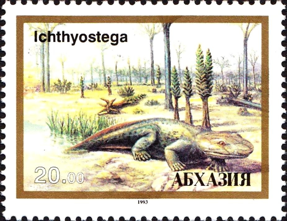 Sheikh Zaid bin Sultan al Nahayan