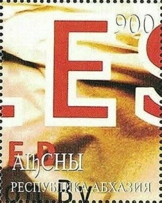 Gagra Region: Pintail (Anas acuta)