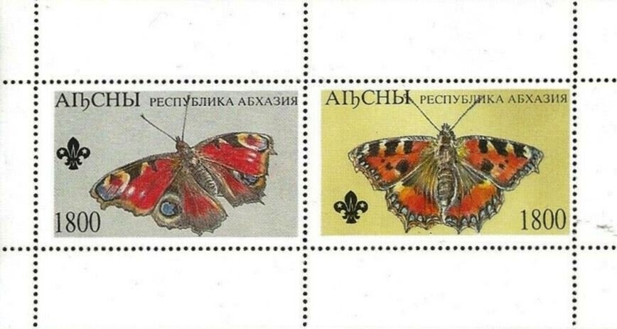 World Soccer Championship