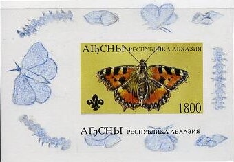 Linophryne arborifera