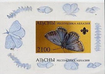 Year of the Tiger 1998