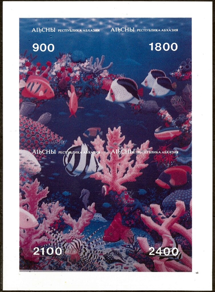 Annaea hieracioides and Corydalis vittae