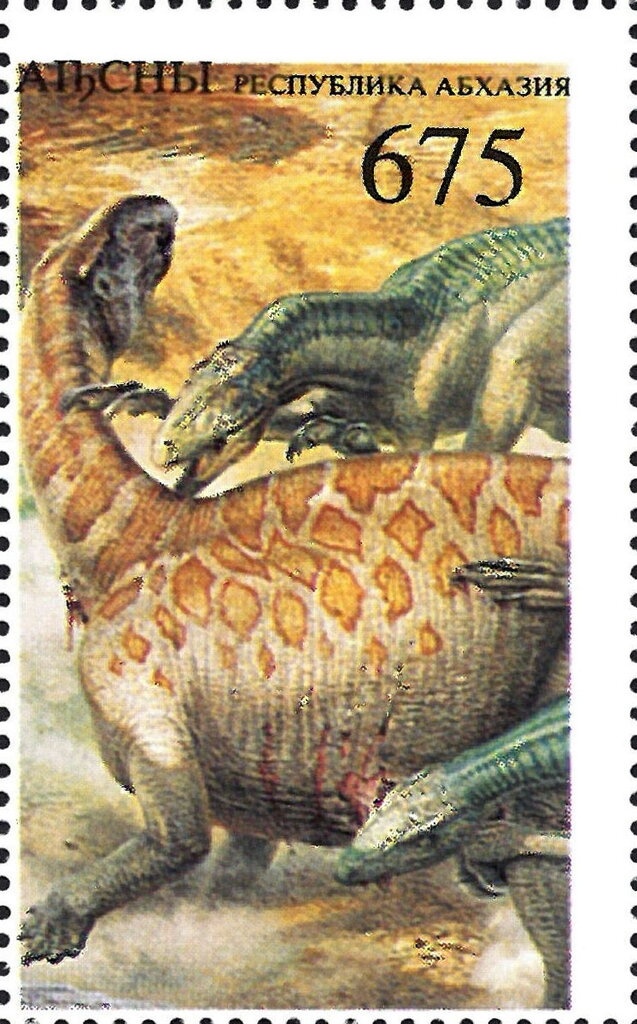 Northern phainopepla (Phainopepla nitens)