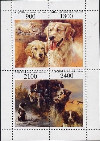 Gal Region: Oystercatcher (Haematopus ostrolegus)