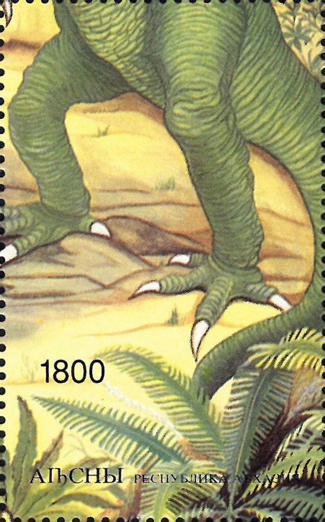 Gagra Region: Pintail (Anas acuta)