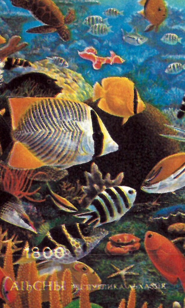 Views- Crusader’s tomb