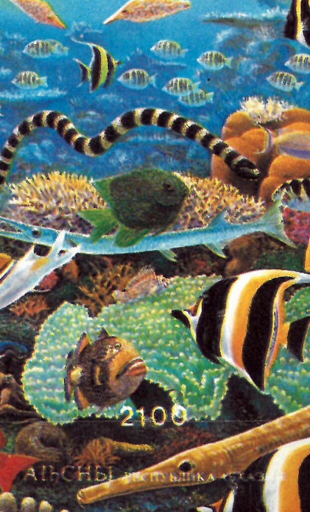 Dagmar Evelyn Cyrulla, Australia