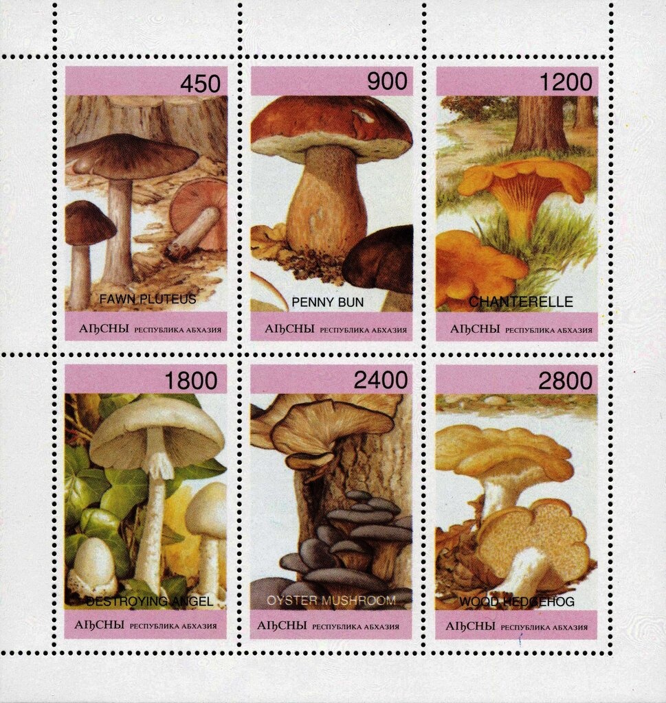 Peoples Princess Diana Princess of Wales