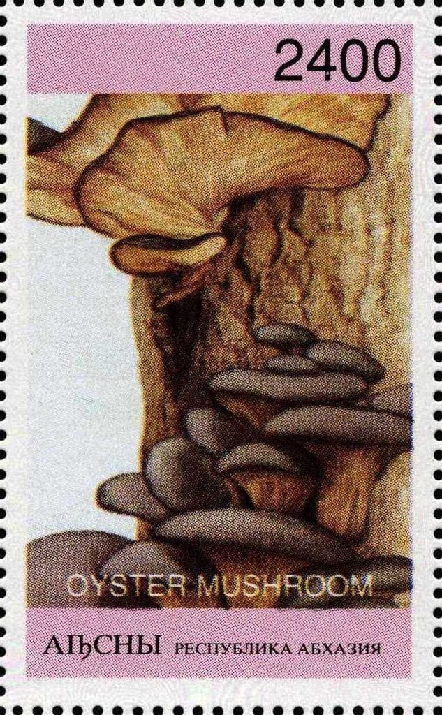 Dr. Sun Yat-sen, Sinkiang overprinted