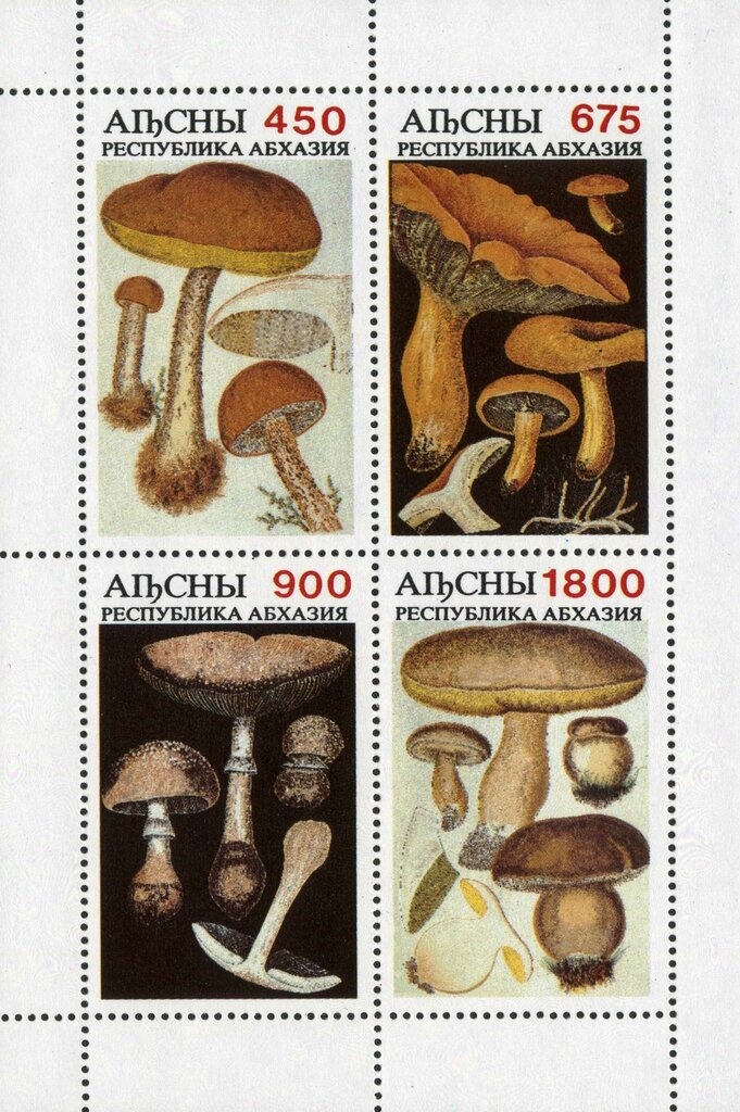 Dr. Sun Yat-sen, Sinkiang overprinted