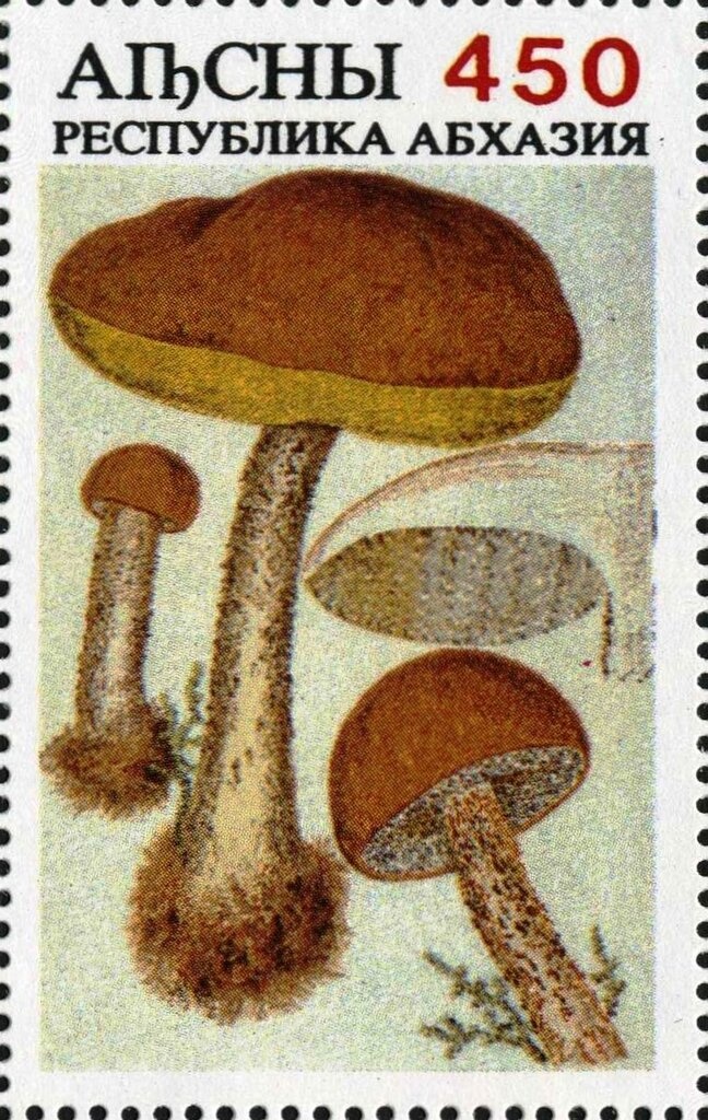 Aidrus Mosque, Crater