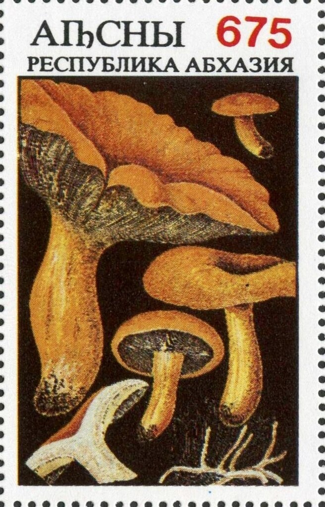 Rhodochrosite, Purple Fluorite, Blue Fluorite